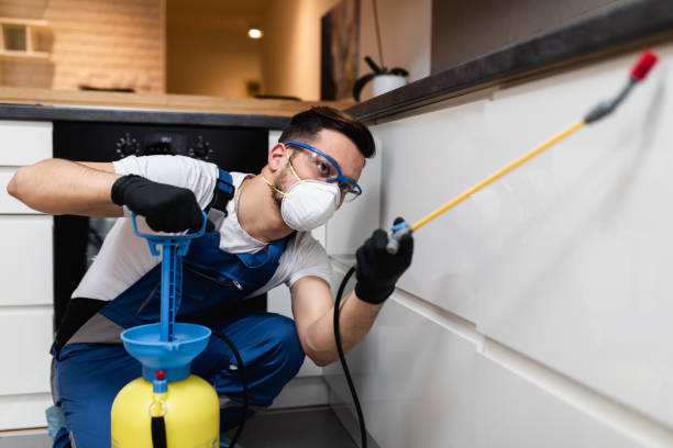 Best Best Pest Control Companies  in Waianae, HI