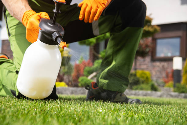 Best Flea Control Services  in Waianae, HI