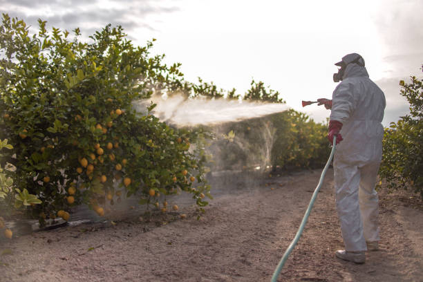 Bird Control in Waianae, HI