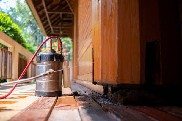 Pest Prevention Services in Waianae, HI